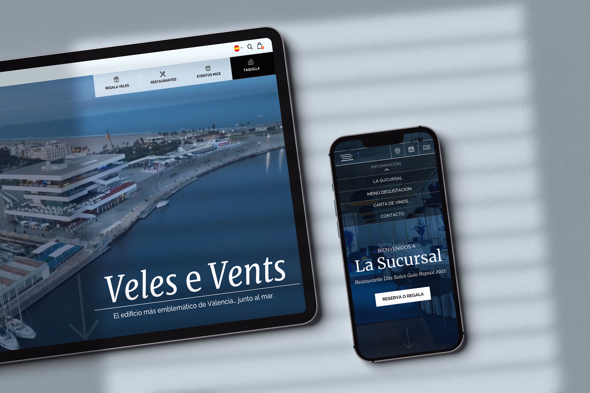 Diseño Web y No Code